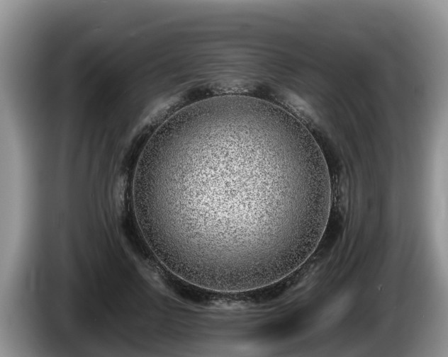 X0000086240742200704051218