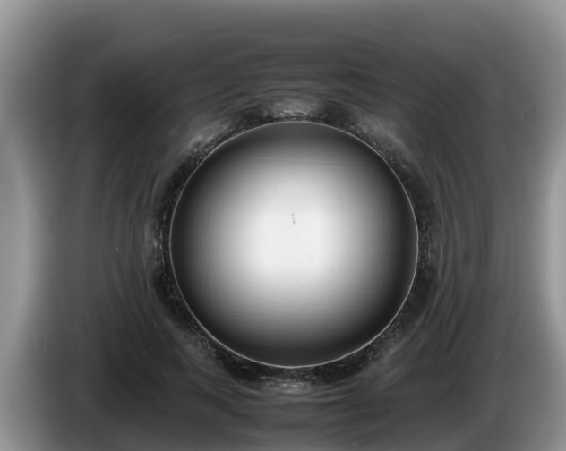X0000086240743200704051218
