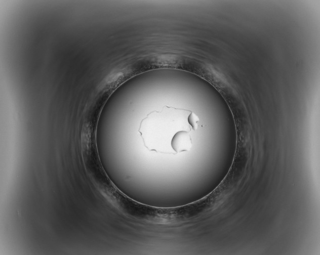 X0000086240744200704051218