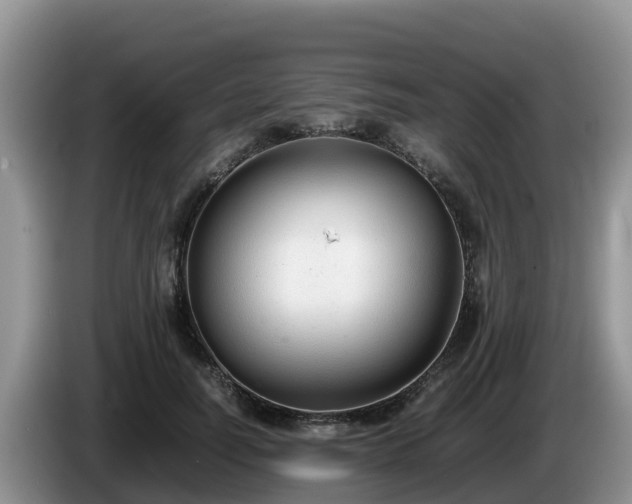 X0000086240746200704051218