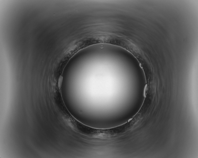 X0000086240750200704051218