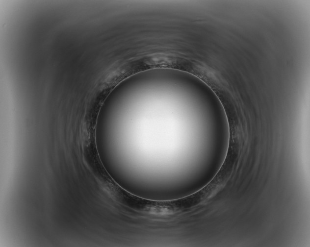X0000086240751200704051218