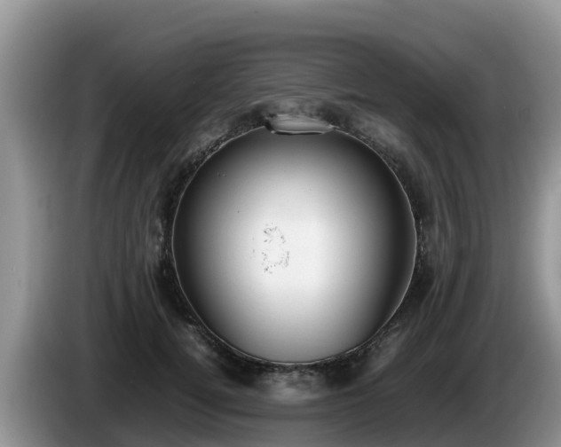 X0000086240752200704051218