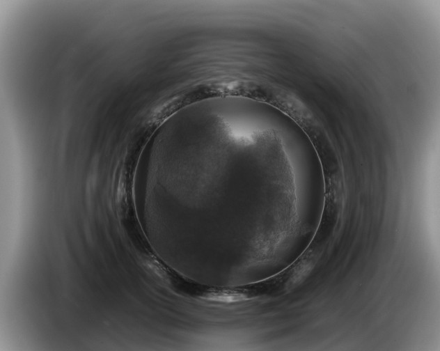 X0000086240754200704051218