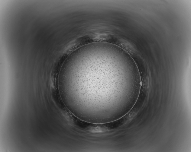 X0000086240755200704051218