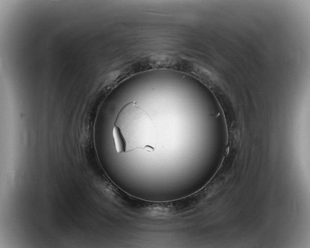 X0000086240756200704051218