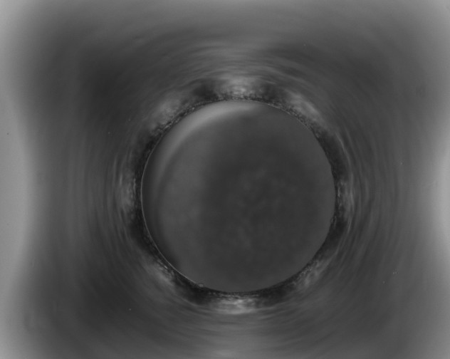 X0000086240760200704051218