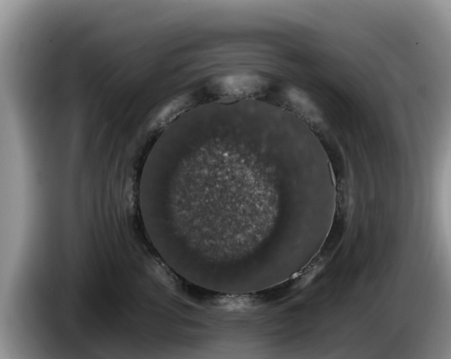 X0000086240762200704051218