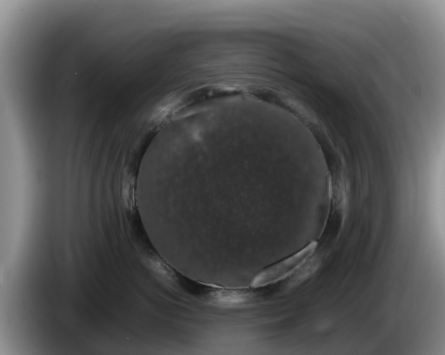 X0000086240766200704051219