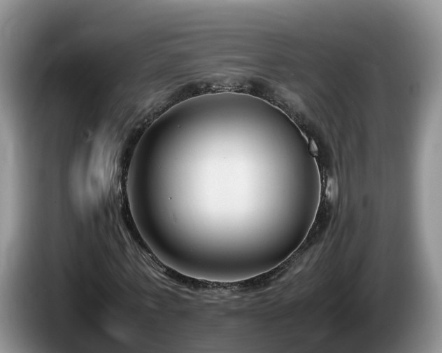 X0000086240771200704051218