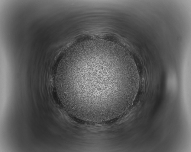 X0000086240772200704051218