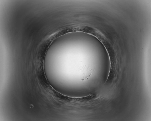 X0000086240773200704051218