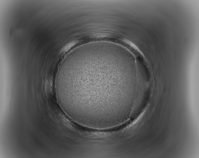 X0000086240777200704051218