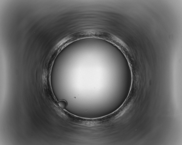 X0000086240778200704051218