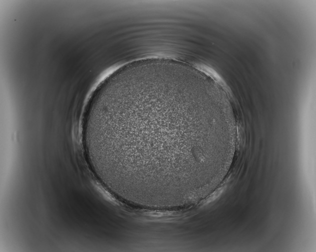 X0000086240780200704051218