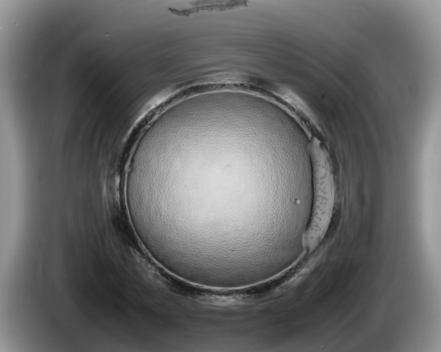 X0000086240781200704051218