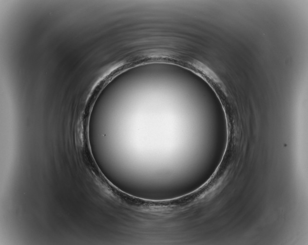 X0000086240782200704051218
