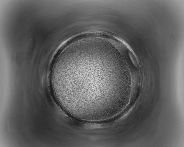 X0000086240783200704051218