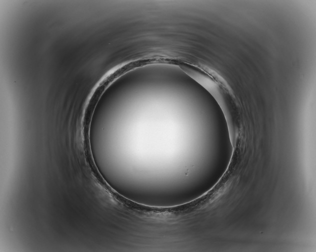 X0000086240784200704051218