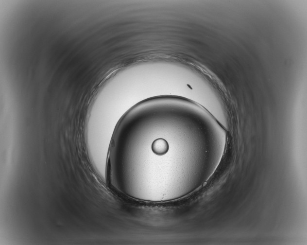X0000086240785200704051218