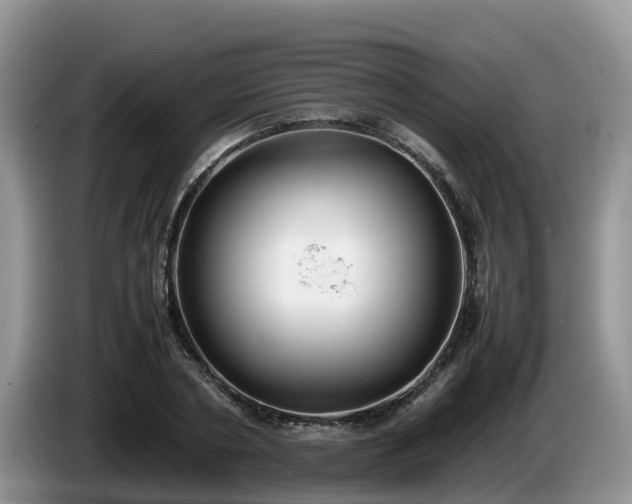 X0000086240786200704051218