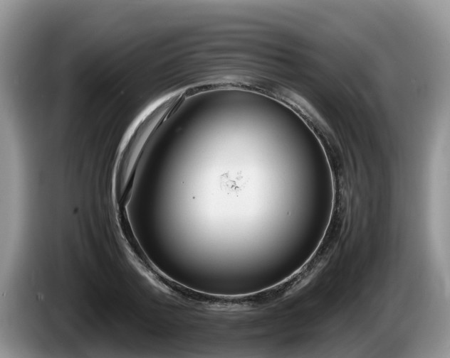 X0000086240788200704051218