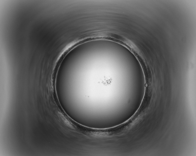 X0000086240789200704051218