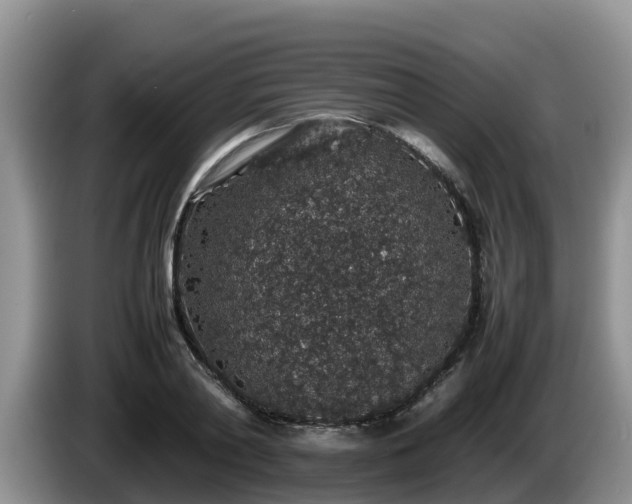X0000086240790200704051218