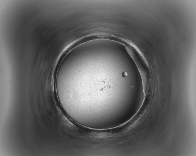 X0000086240791200704051218
