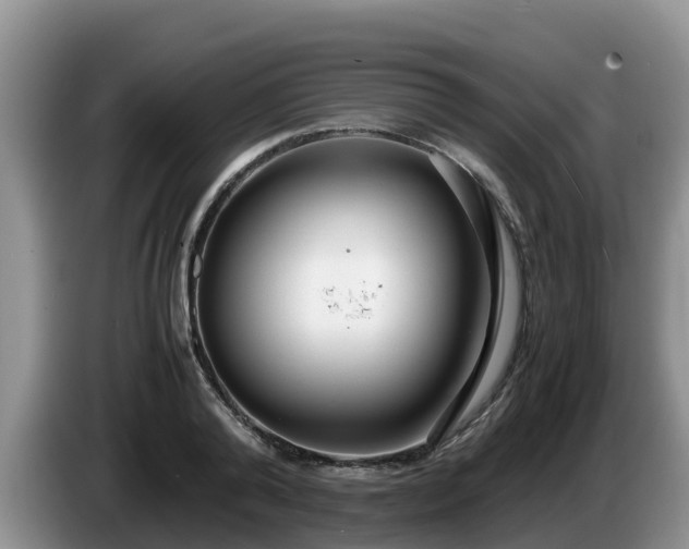 X0000086240792200704051218