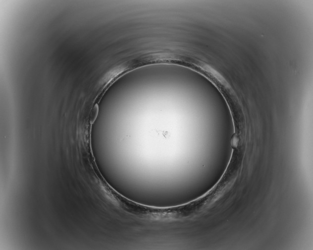 X0000086240793200704051218