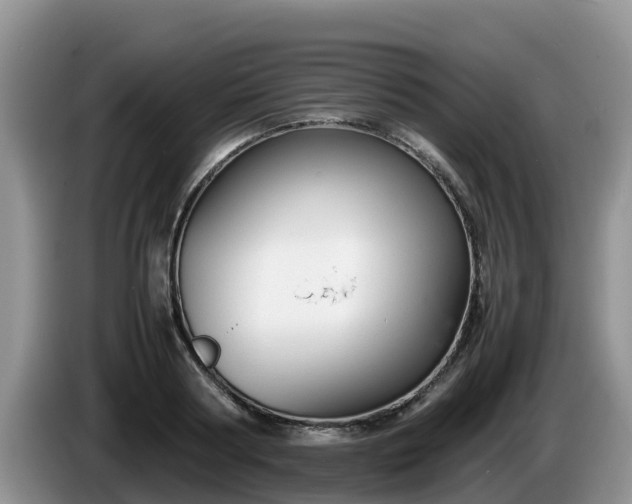 X0000086240794200704051218
