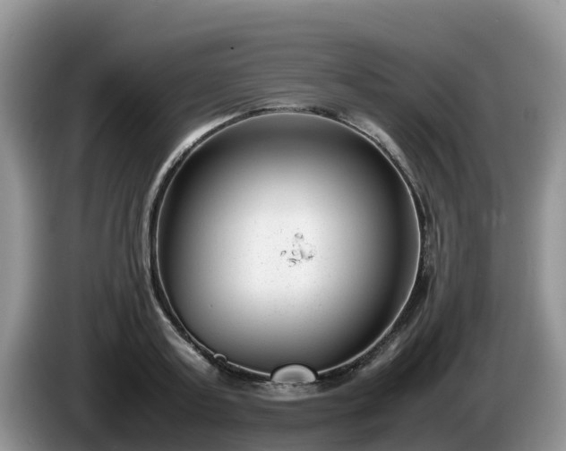 X0000086240795200704051218
