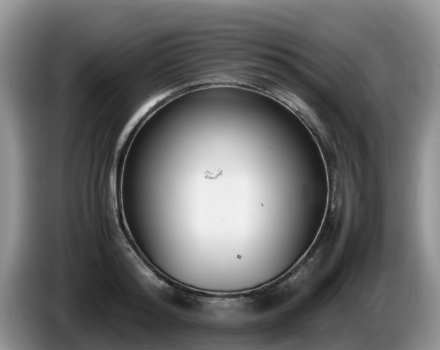 X0000086240796200704051217