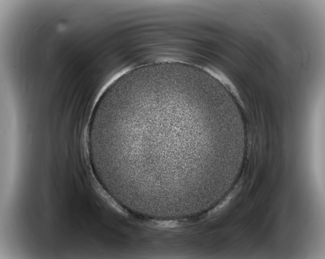 X0000086240798200704051217