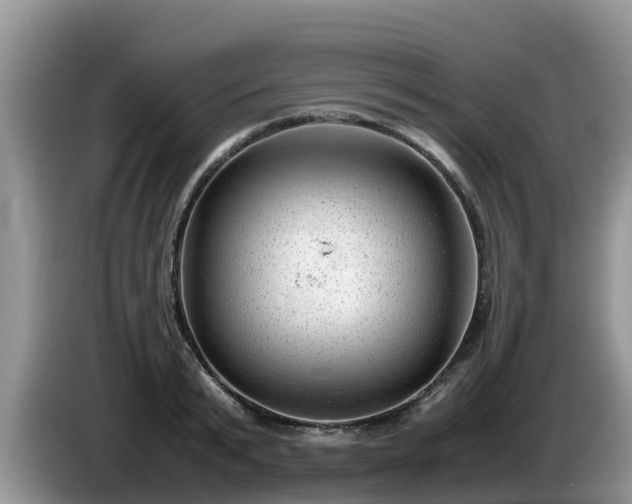 X0000086240799200704051217