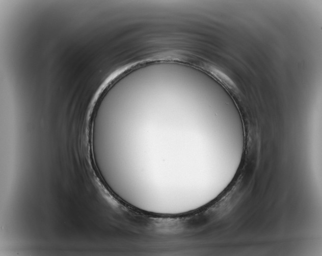 X0000086240800200704051217