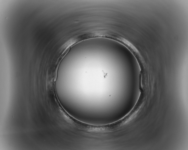 X0000086240801200704051217