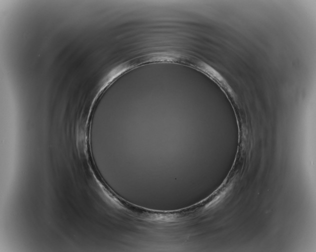 X0000086240802200704051217