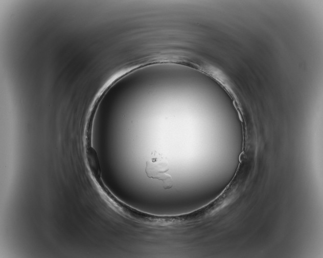 X0000086240803200704051217