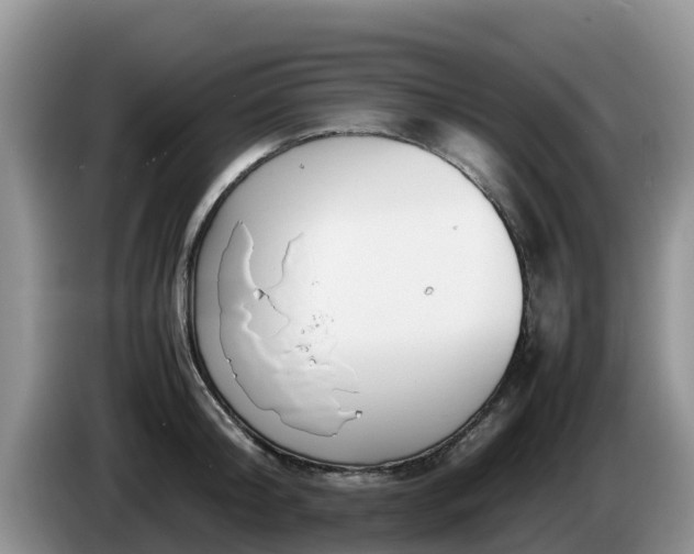 X0000086240804200704051217