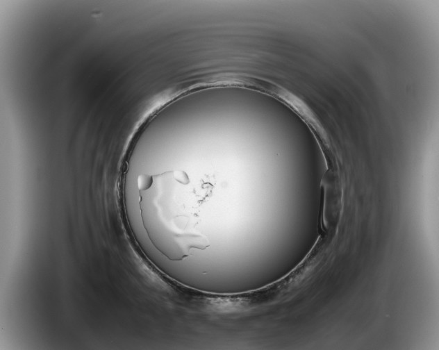 X0000086240805200704051217
