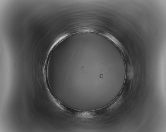 X0000086240806200704051217