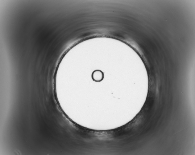 X0000086240807200704051217