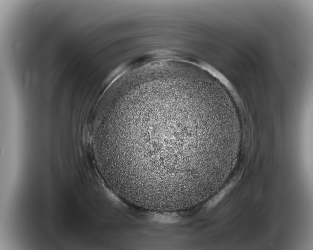 X0000086240809200704051217