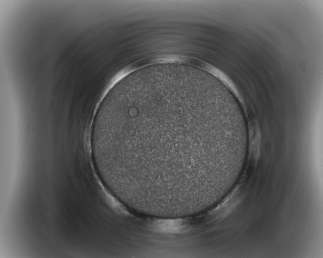 X0000086240810200704051217