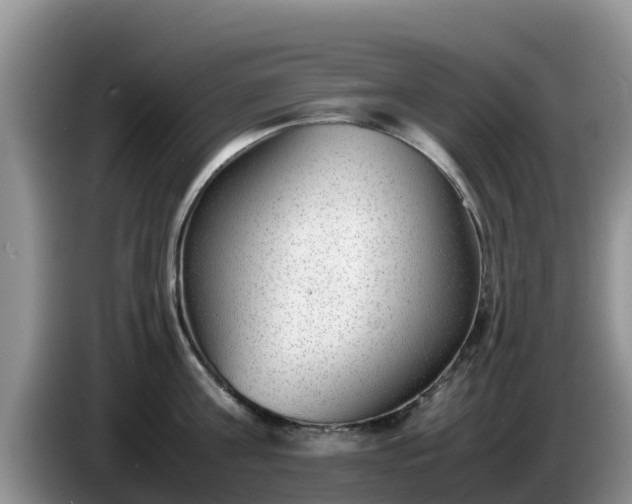 X0000086240811200704051217