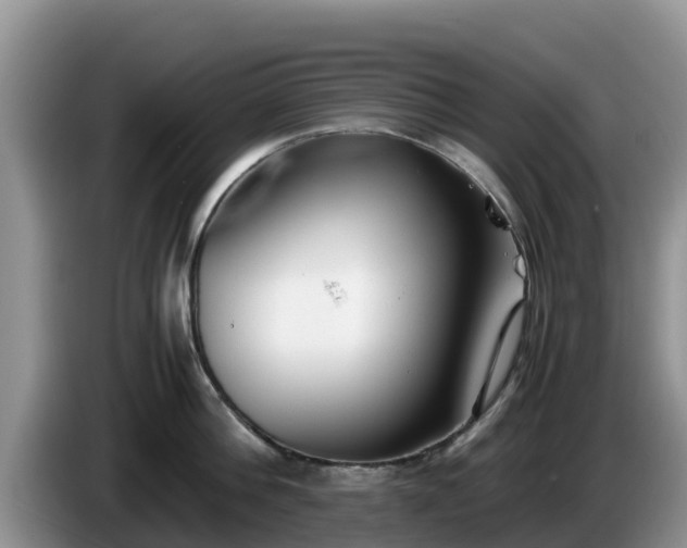 X0000086240812200704051217