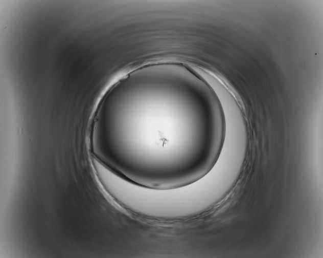 X0000086240813200704051217