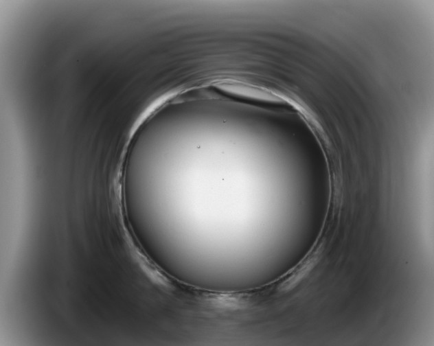 X0000086240814200704051217